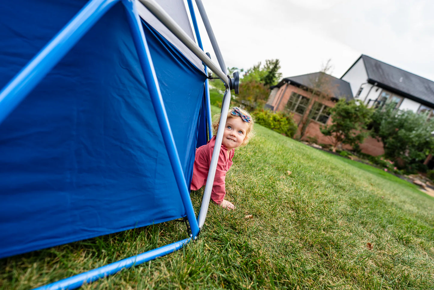 Jungle Gym Dome Climber With Canopy